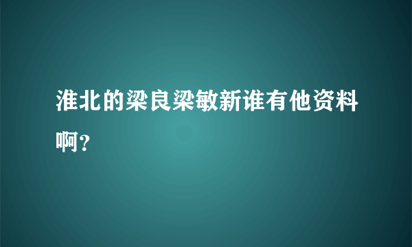 淮北的梁良梁敏新谁有他资料啊？