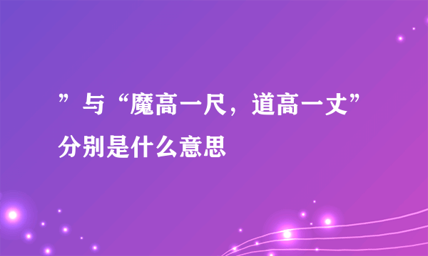 ”与“魔高一尺，道高一丈”分别是什么意思