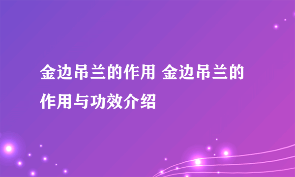 金边吊兰的作用 金边吊兰的作用与功效介绍