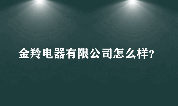 金羚电器有限公司怎么样？