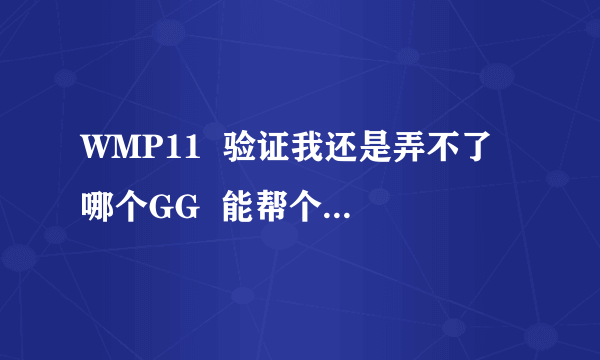 WMP11  验证我还是弄不了 哪个GG  能帮个忙 好好教下