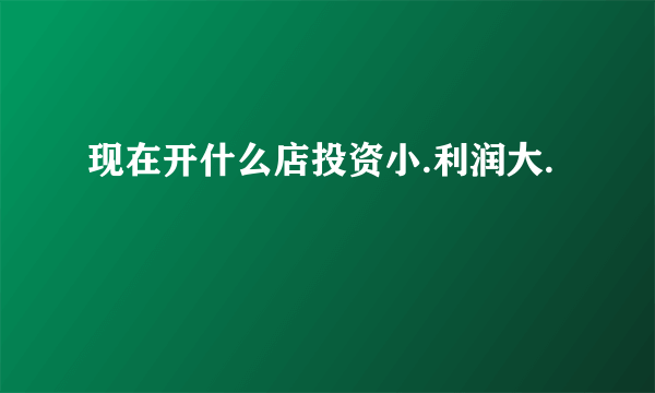 现在开什么店投资小.利润大.