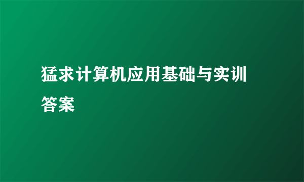 猛求计算机应用基础与实训 答案