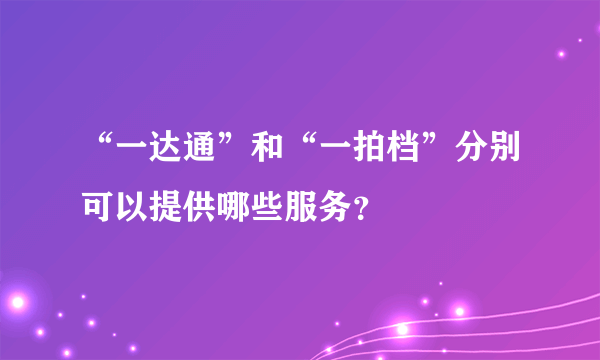 “一达通”和“一拍档”分别可以提供哪些服务？