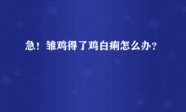 急！雏鸡得了鸡白痢怎么办？