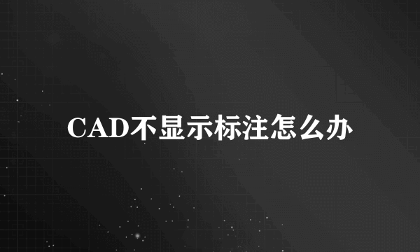 CAD不显示标注怎么办