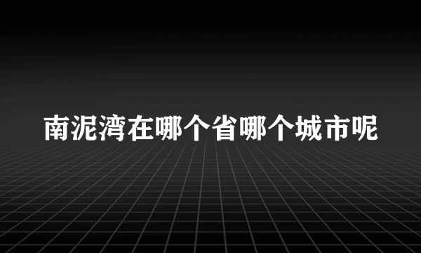 南泥湾在哪个省哪个城市呢