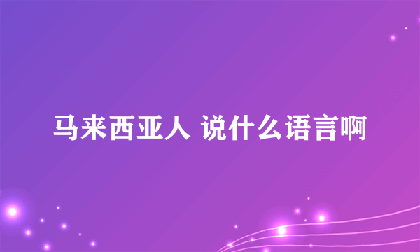 马来西亚人 说什么语言啊