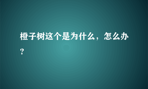 橙子树这个是为什么，怎么办？