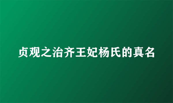 贞观之治齐王妃杨氏的真名