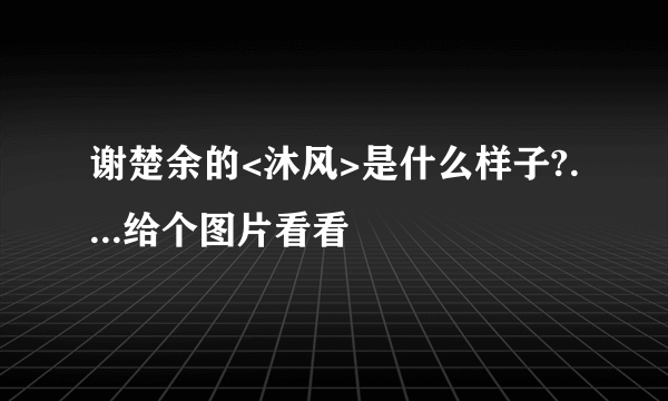 谢楚余的<沐风>是什么样子?....给个图片看看