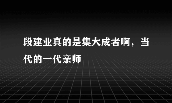 段建业真的是集大成者啊，当代的一代亲师