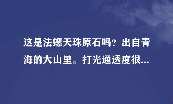 这是法螺天珠原石吗？出自青海的大山里。打光通透度很好，玉化完全。