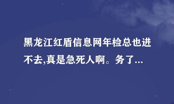 黑龙江红盾信息网年检总也进不去,真是急死人啊。务了年检谁负责？