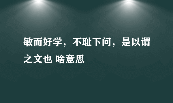 敏而好学，不耻下问，是以谓之文也 啥意思