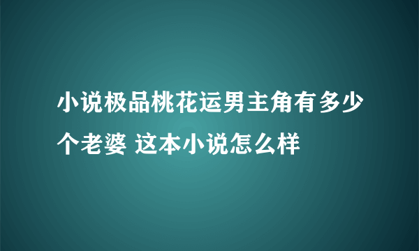 小说极品桃花运男主角有多少个老婆 这本小说怎么样