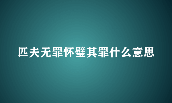 匹夫无罪怀璧其罪什么意思