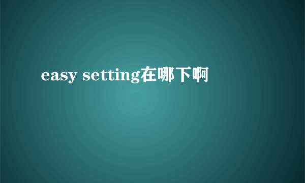 easy setting在哪下啊