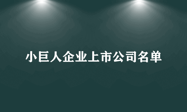 小巨人企业上市公司名单