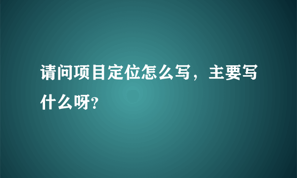 请问项目定位怎么写，主要写什么呀？