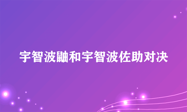 宇智波鼬和宇智波佐助对决