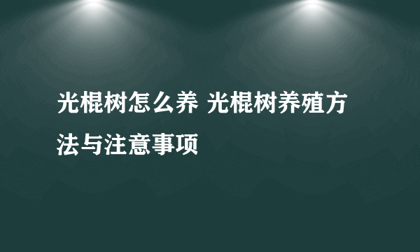 光棍树怎么养 光棍树养殖方法与注意事项