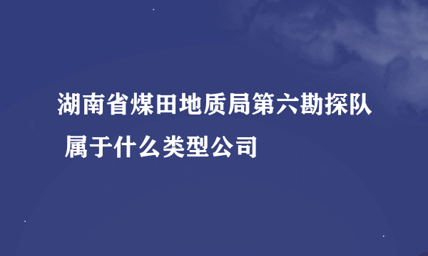 湖南省煤田地质局第六勘探队 属于什么类型公司