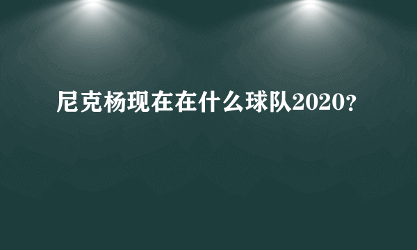 尼克杨现在在什么球队2020？