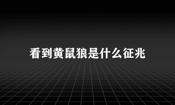 看到黄鼠狼是什么征兆