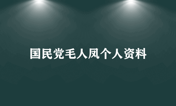 国民党毛人凤个人资料