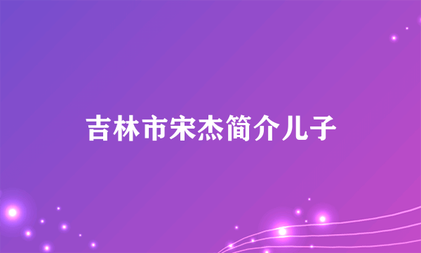 吉林市宋杰简介儿子