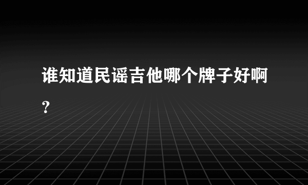 谁知道民谣吉他哪个牌子好啊？