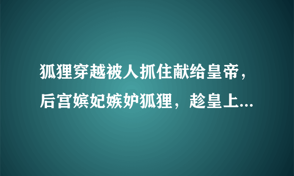 狐狸穿越被人抓住献给皇帝，后宫嫔妃嫉妒狐狸，趁皇上不在，用针扎小狐狸，后来化成人的小说