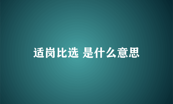 适岗比选 是什么意思