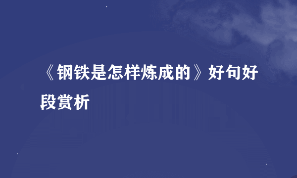 《钢铁是怎样炼成的》好句好段赏析