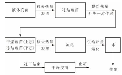 求一份实验室冻干机的工作原理图啊