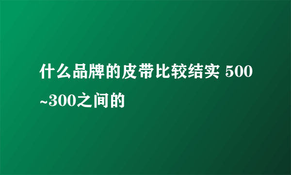 什么品牌的皮带比较结实 500~300之间的