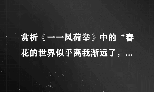 赏析《一一风荷举》中的“春花的世界似乎离我渐远了，那种悠然的岁月也向我挥手作别。而今而后，我只能生