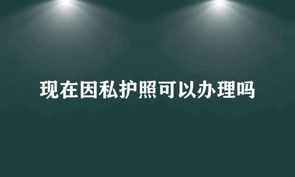 现在因私护照可以办理吗