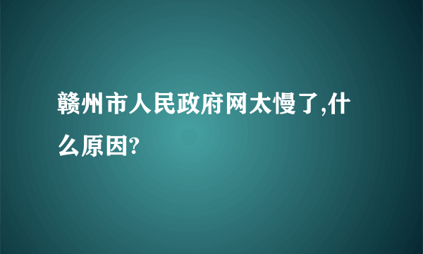 赣州市人民政府网太慢了,什么原因?