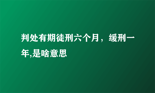 判处有期徒刑六个月，缓刑一年,是啥意思