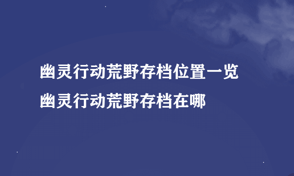 幽灵行动荒野存档位置一览 幽灵行动荒野存档在哪