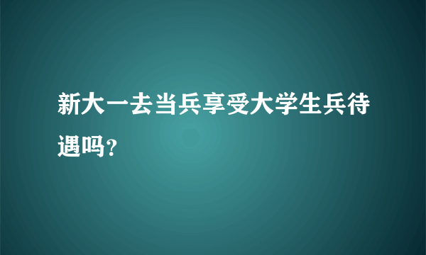 新大一去当兵享受大学生兵待遇吗？