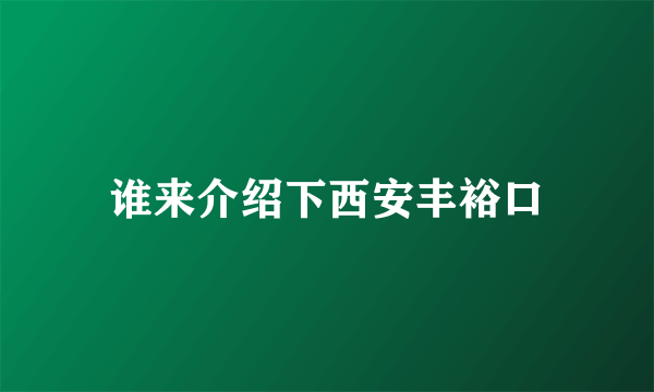 谁来介绍下西安丰裕口