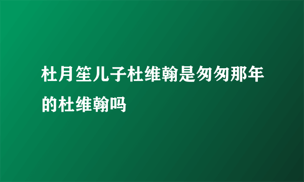 杜月笙儿子杜维翰是匆匆那年的杜维翰吗