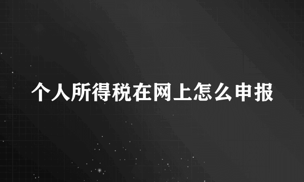 个人所得税在网上怎么申报