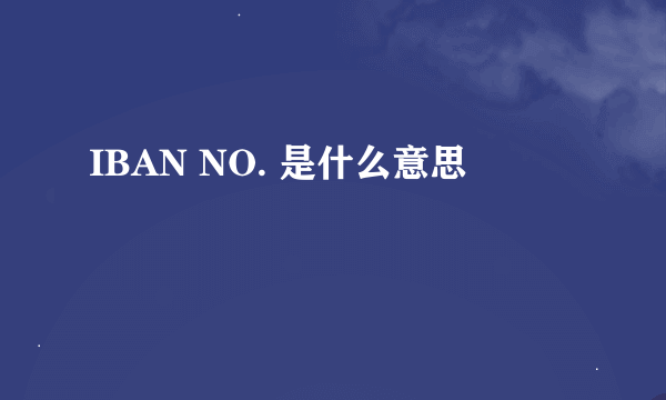 IBAN NO. 是什么意思