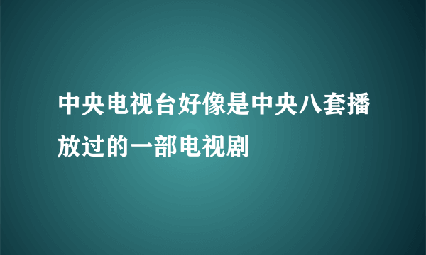 中央电视台好像是中央八套播放过的一部电视剧