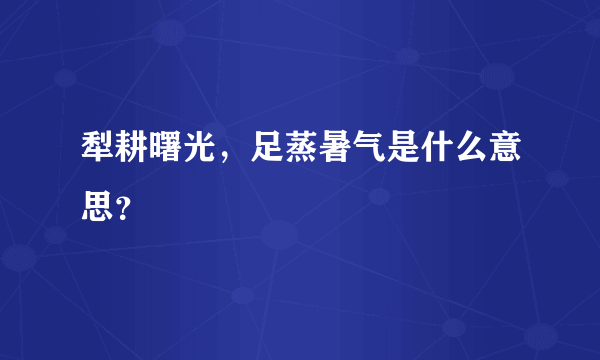 犁耕曙光，足蒸暑气是什么意思？