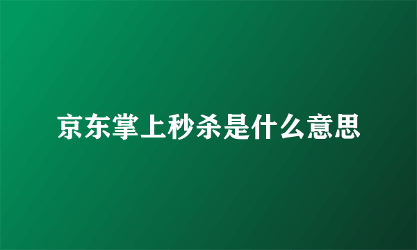 京东掌上秒杀是什么意思